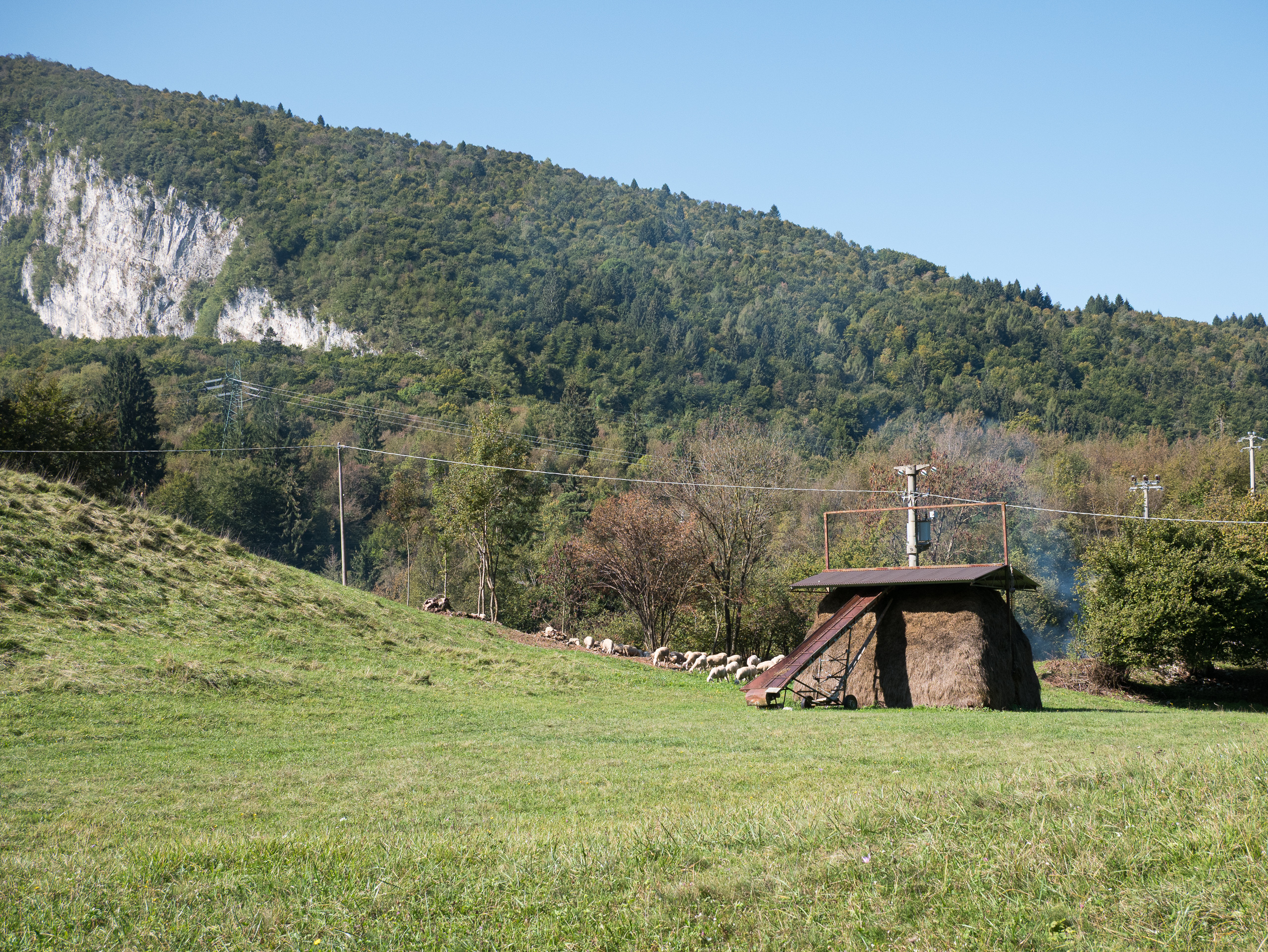 Schafherde und Heuschober auf der Bergwiese